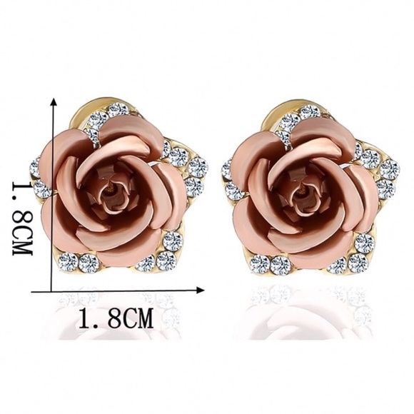 IN STOCK champagne color Rose earrings - Picture 8 of 9